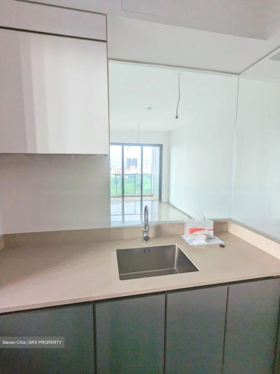 Normanton Park (D5), Apartment #486189841
